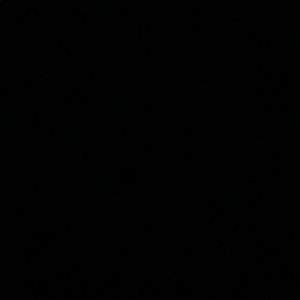 Meet your Posher, Julian